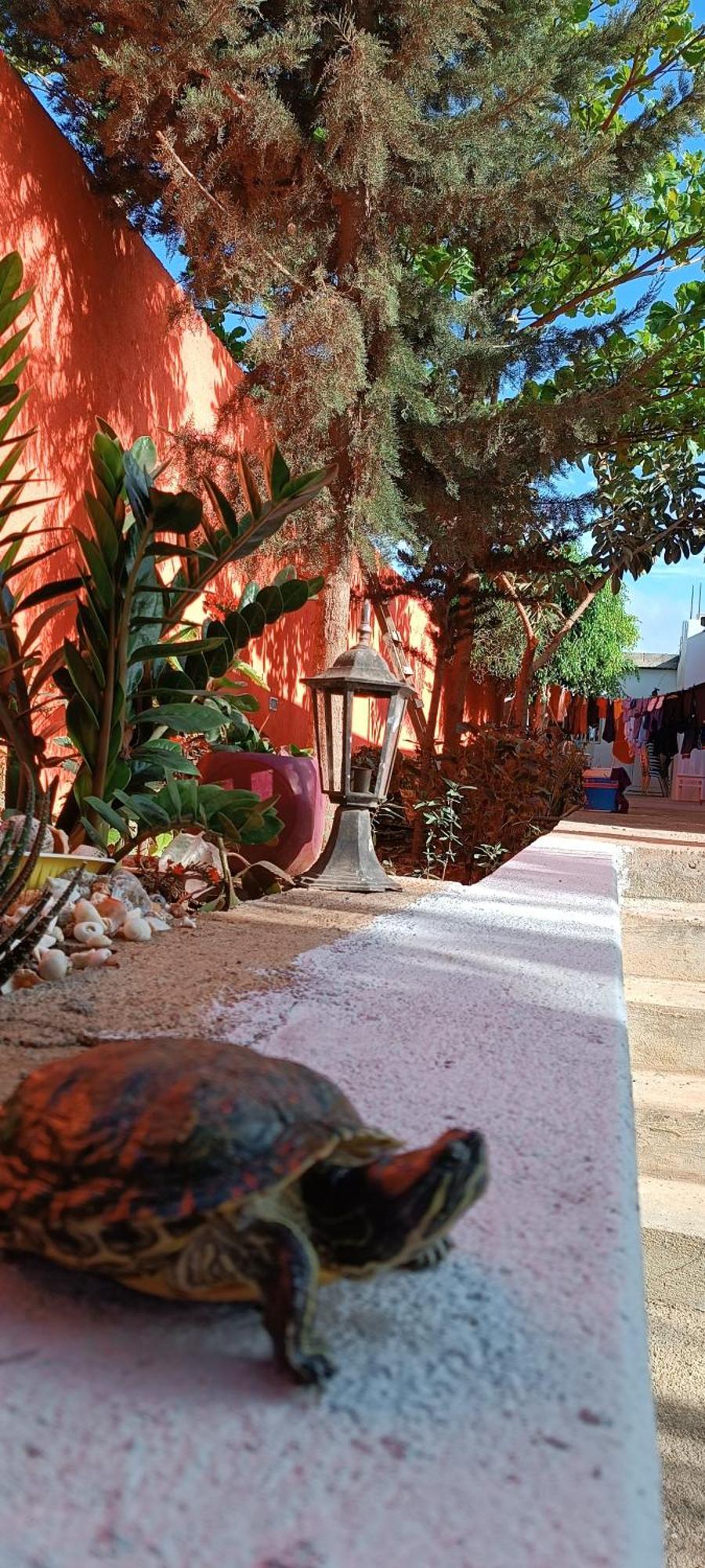 Residencia Aguia Villa ปรายา ภายนอก รูปภาพ
